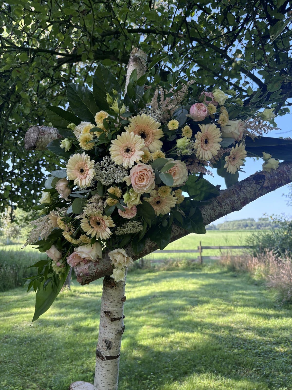 Blumengesteck aus cremefarbenen Gerbera und Rosen an einem Birkenstamm am Trauplatz, dahinter Wiese und Obstbäume