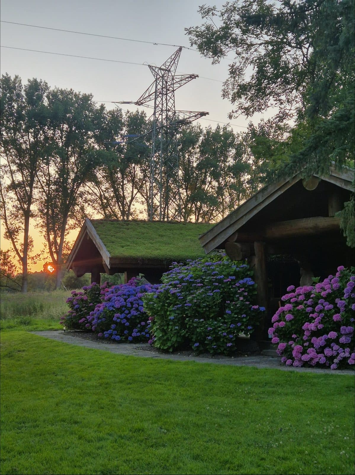 Holzhütte mit begrüntem Dach und blühenden Hortensien im Garten von Gut Schöneworth bei Sonnenuntergang